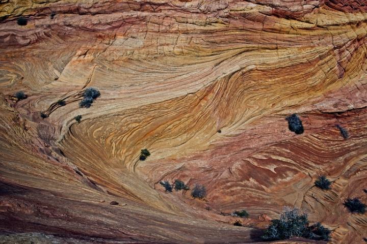 South Coyote Buttes 13-1456.jpg